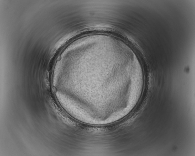 X0000115540970200911271406