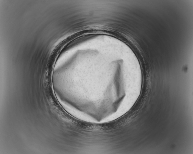 X0000115540971200911271406