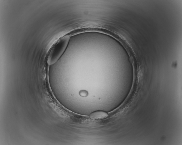 X0000115540973200911271406