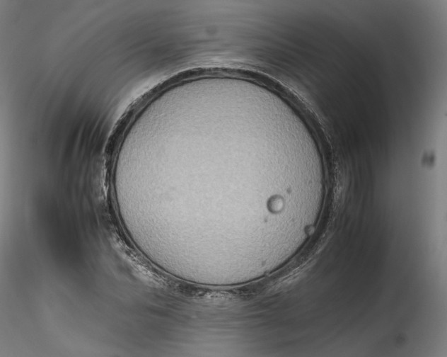 X0000115540974200911271406