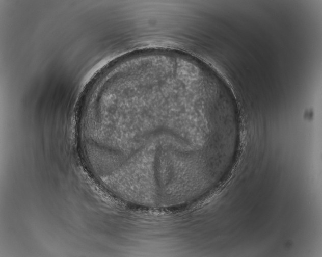 X0000115540975200911271406