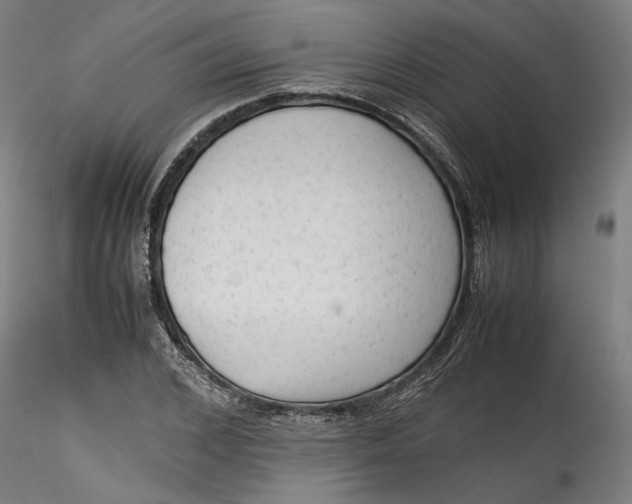 X0000115540976200911271406