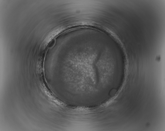 X0000115540977200911271406