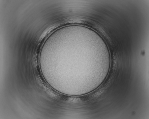 X0000115540978200911271406