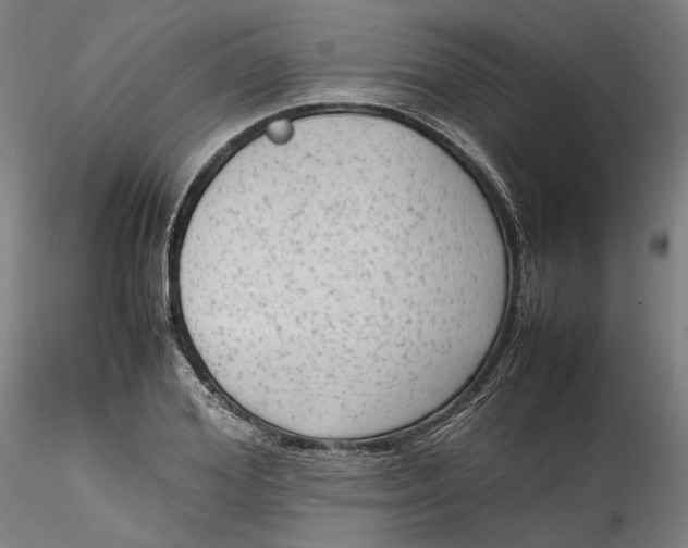 X0000115540980200911271406