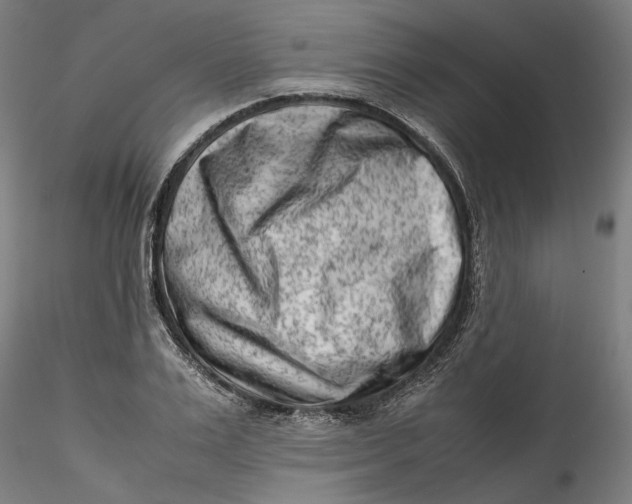 X0000115540983200911271406