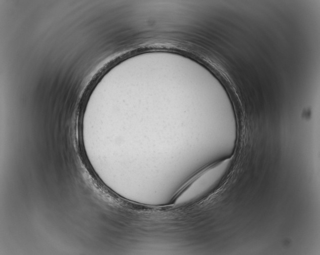 X0000115540984200911271406