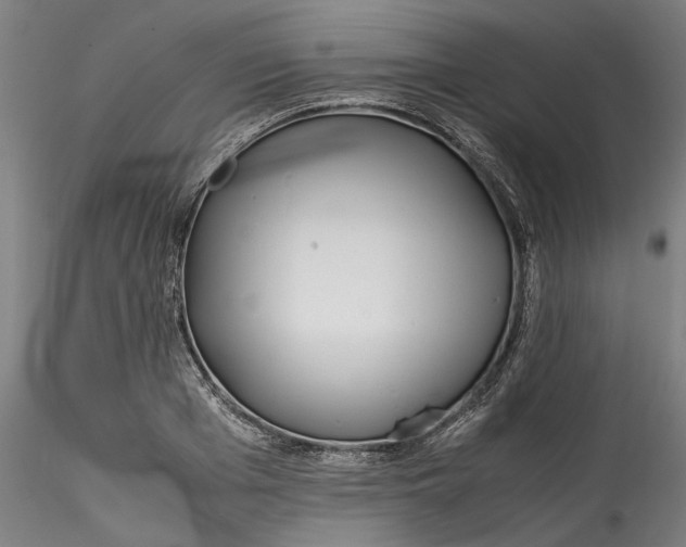 X0000115540985200911271406