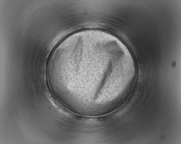 X0000115540986200911271406