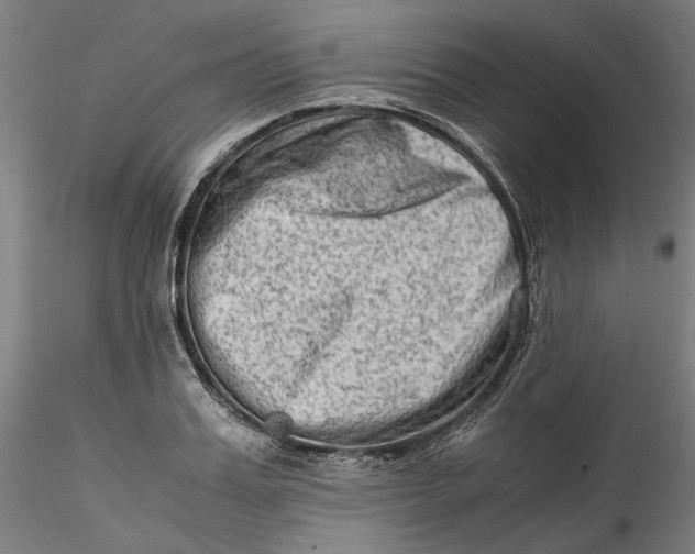 X0000115540987200911271406