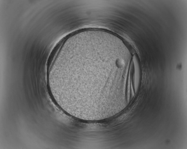 X0000115540988200911271406