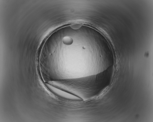 X0000115540989200911271406