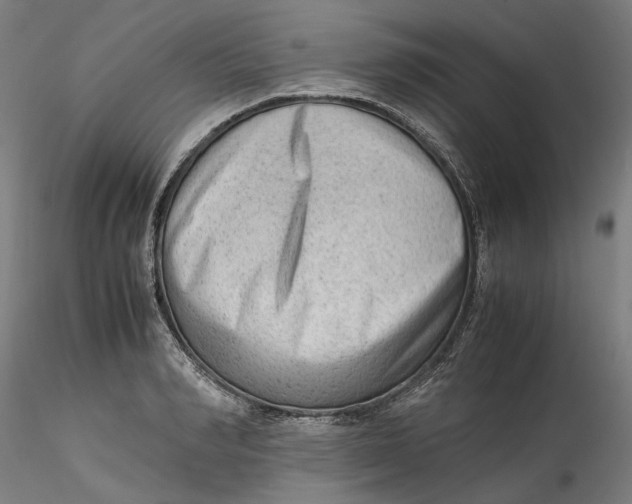 X0000115540990200911271406