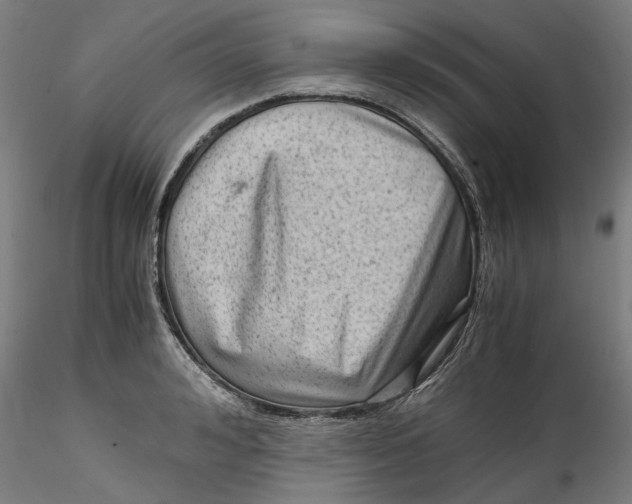 X0000115540992200911271406