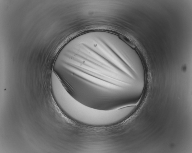 X0000115540993200911271406