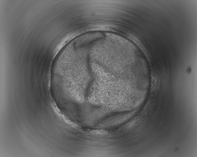 X0000115540994200911271406