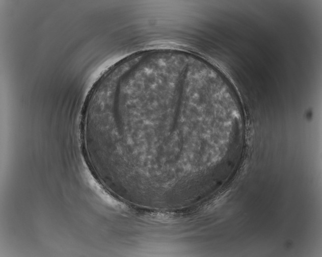 X0000115540995200911271406