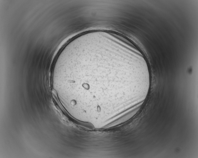 X0000115540996200911271406