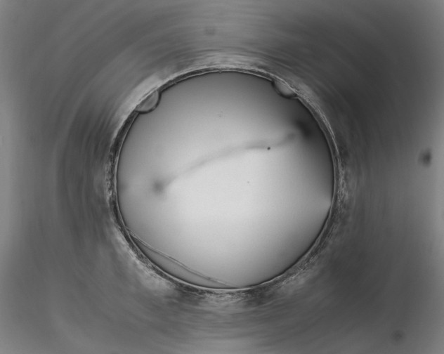 X0000115540997200911271406