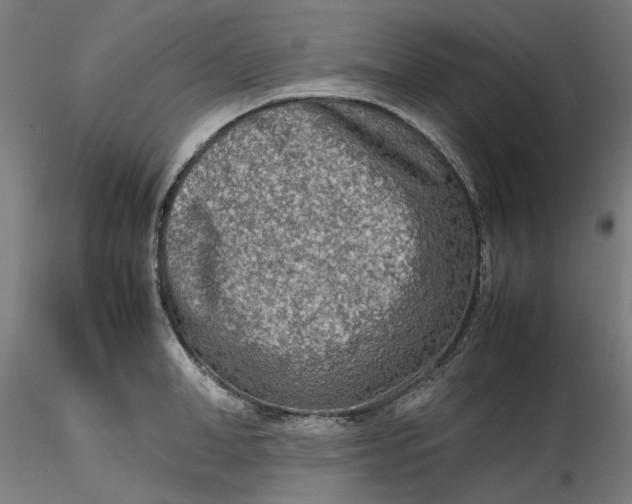 X0000115540998200911271406