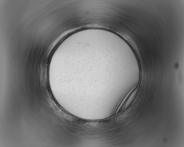 X0000115541000200911271406