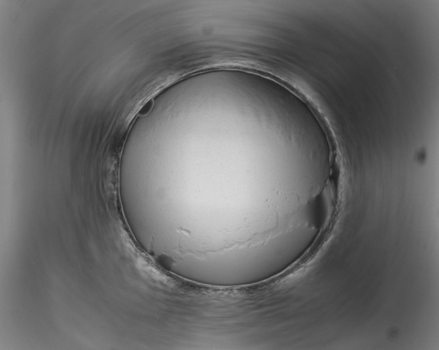 X0000115541001200911271406