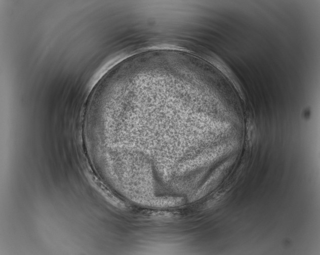 X0000115541002200911271406