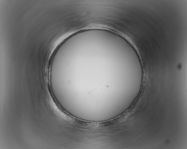 X0000115541003200911271406