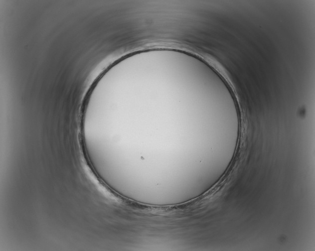 X0000115541005200911271406