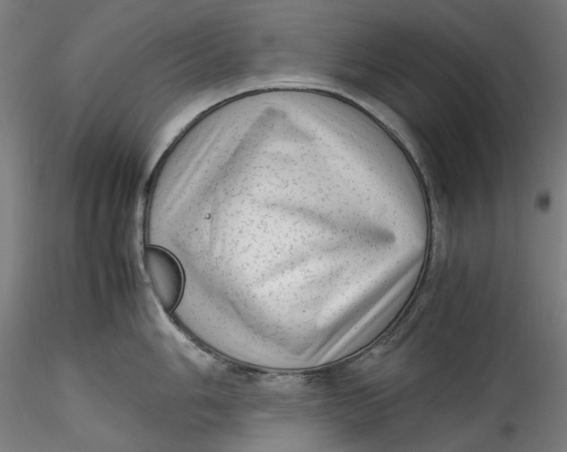 X0000115541006200911271406