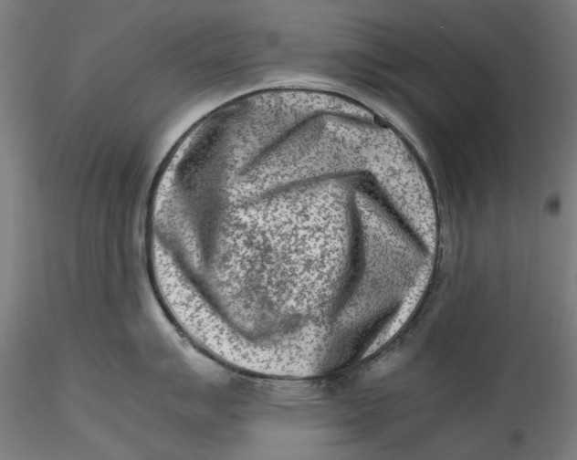 X0000115541007200911271406