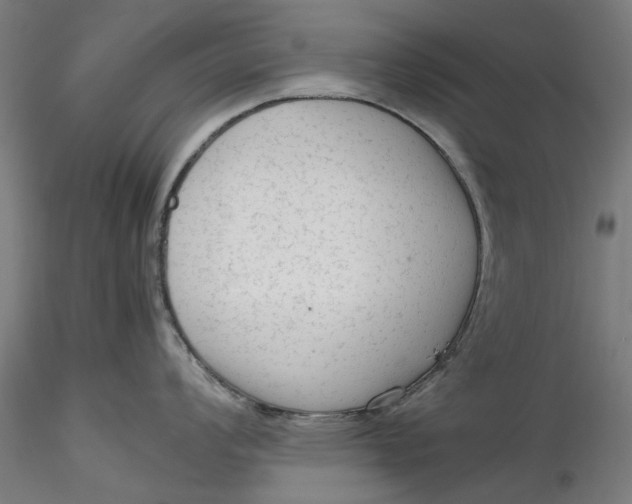 X0000115541008200911271406