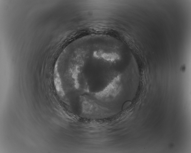 X0000115541009200911271405