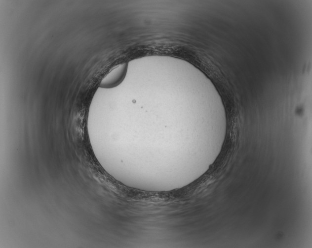 X0000115541010200911271405