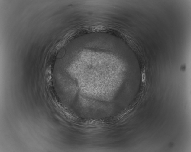 X0000115541011200911271405