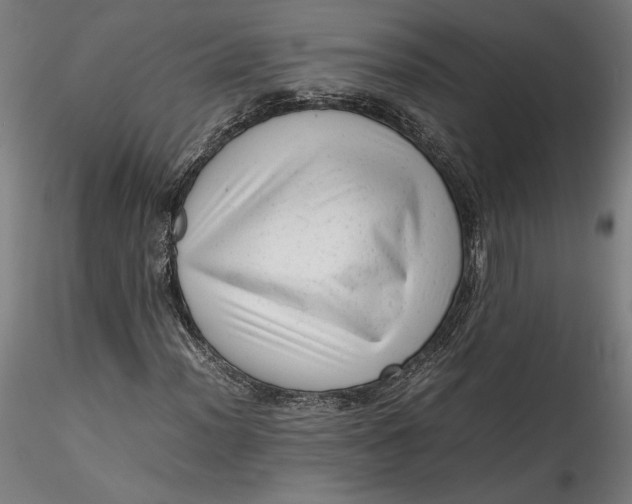 X0000115541012200911271405