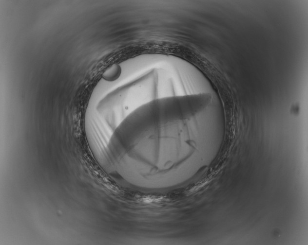 X0000115541013200911271405