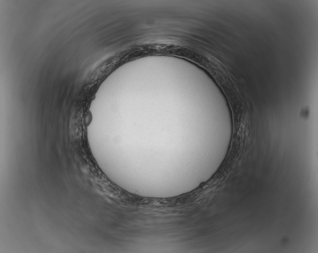 X0000115541014200911271405