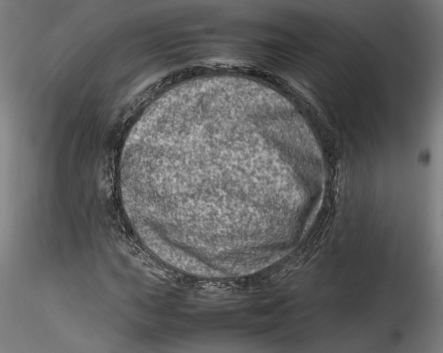 X0000115541015200911271405