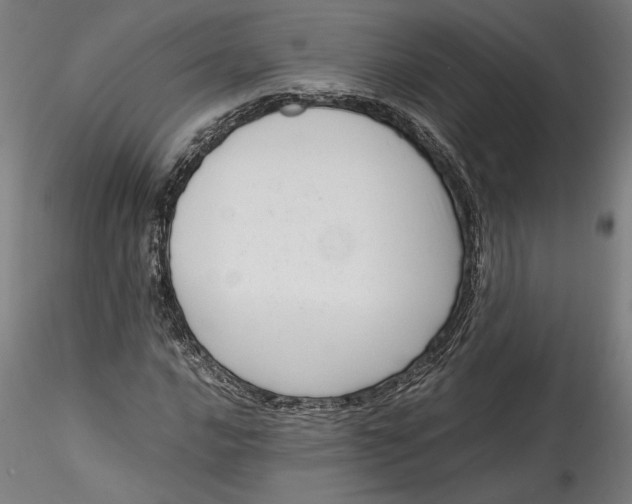 X0000115541016200911271405