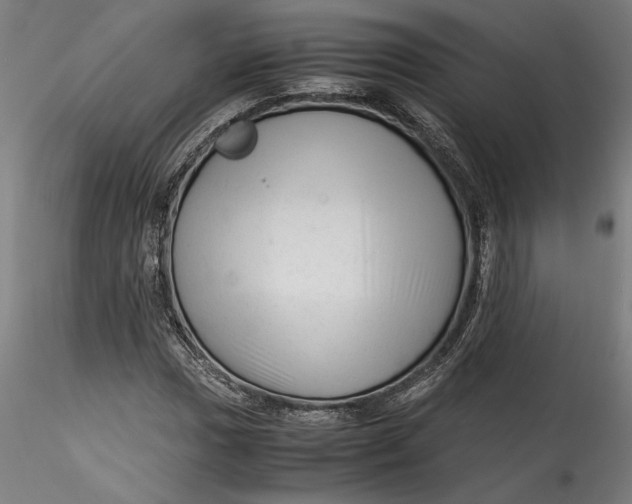 X0000115541017200911271405