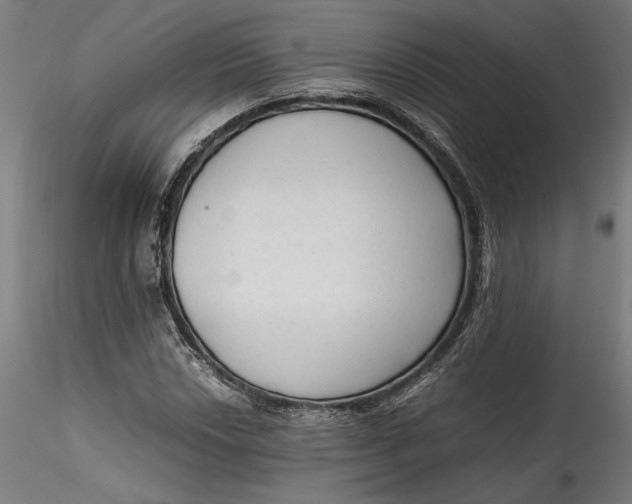 X0000115541018200911271405