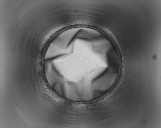 X0000115541019200911271405