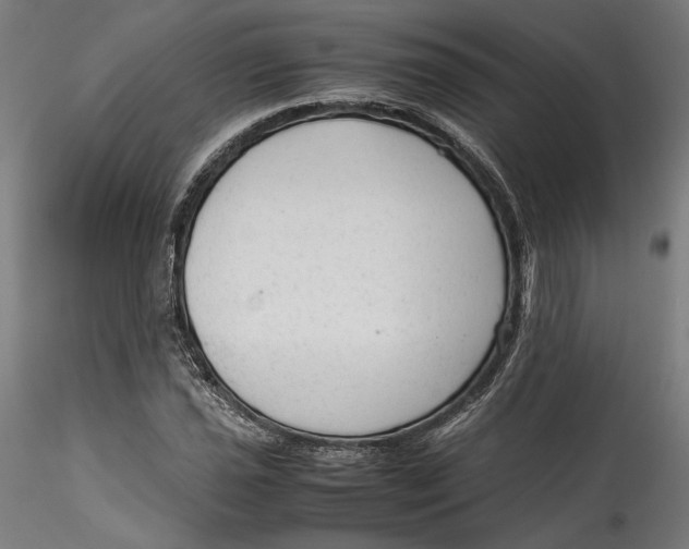 X0000115541021200911271405