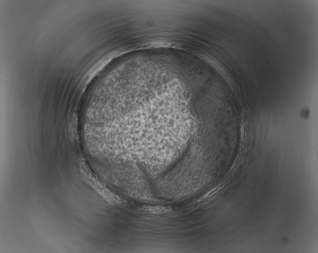 X0000115541023200911271405