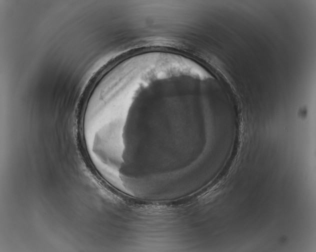 X0000115541024200911271405