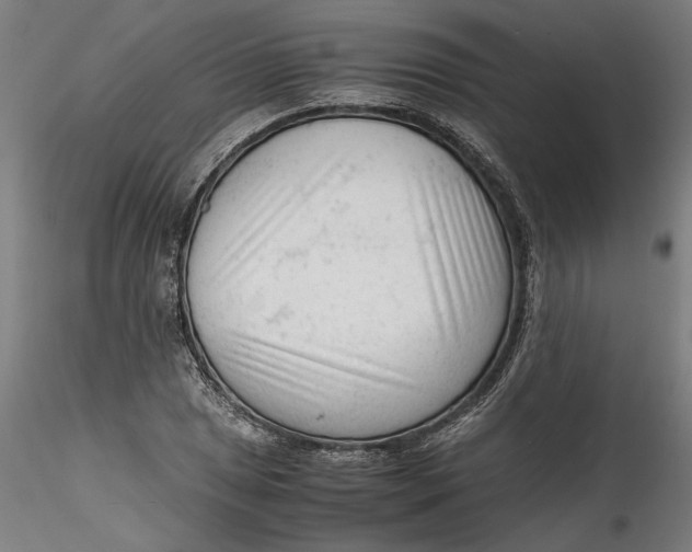 X0000115541025200911271405