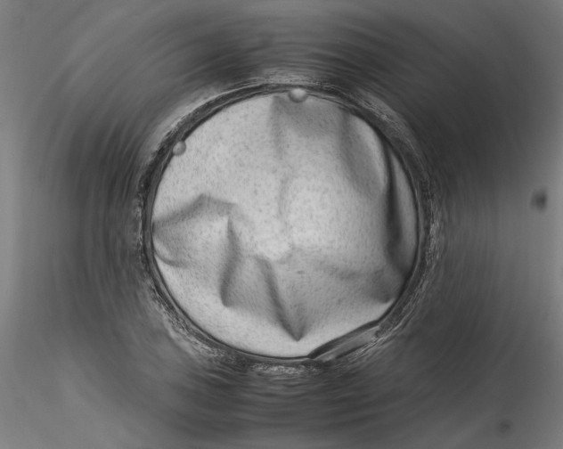 X0000115541027200911271405