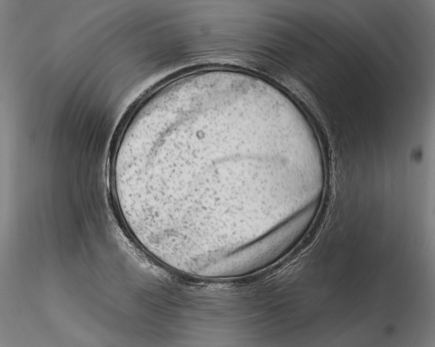 X0000115541028200911271405