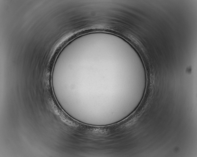 X0000115541029200911271405